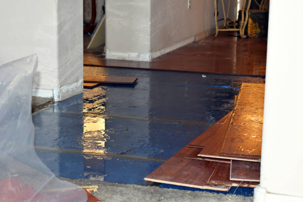 Professional Burst Pipe Water Damage technician working in Bradley, ME